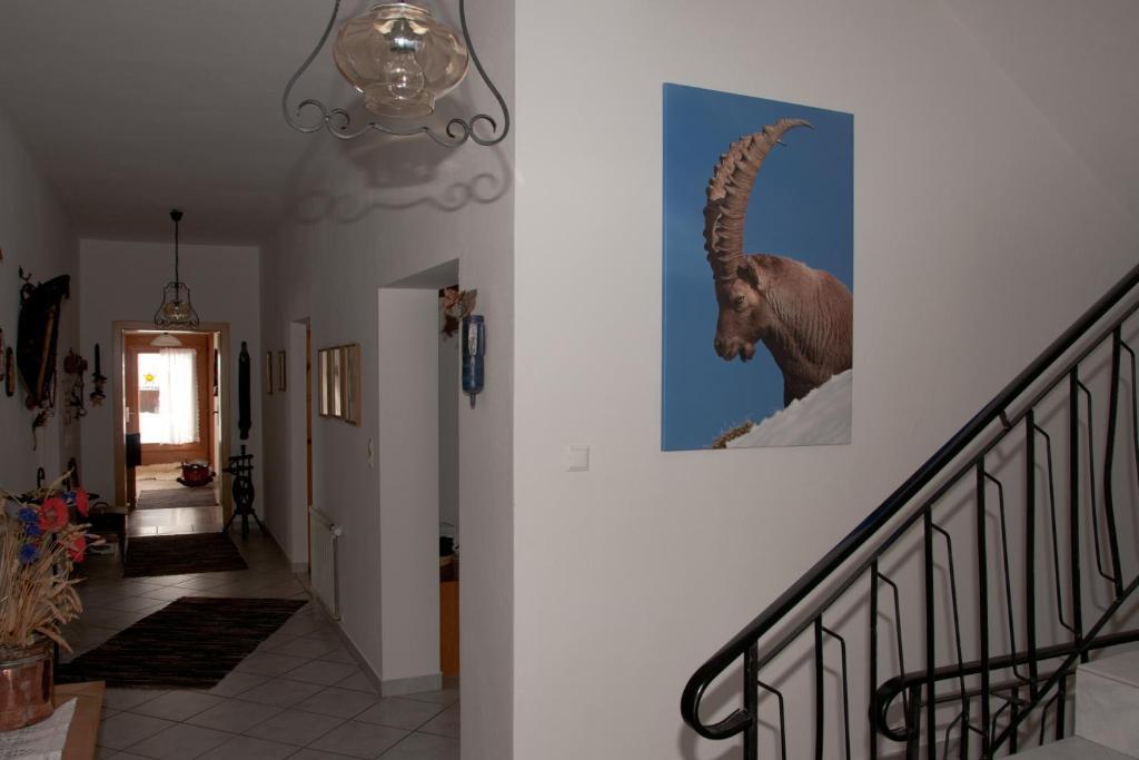 Appartements Schmalzerhof Gries im Sellrain Exterior foto